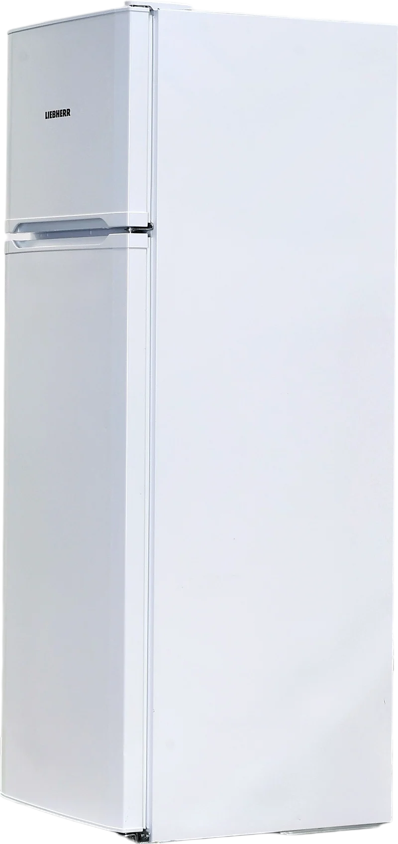 Réfrigérateur Avec Congélateur 271 Litres Reconditionné LIEBHERR GKPE415-26