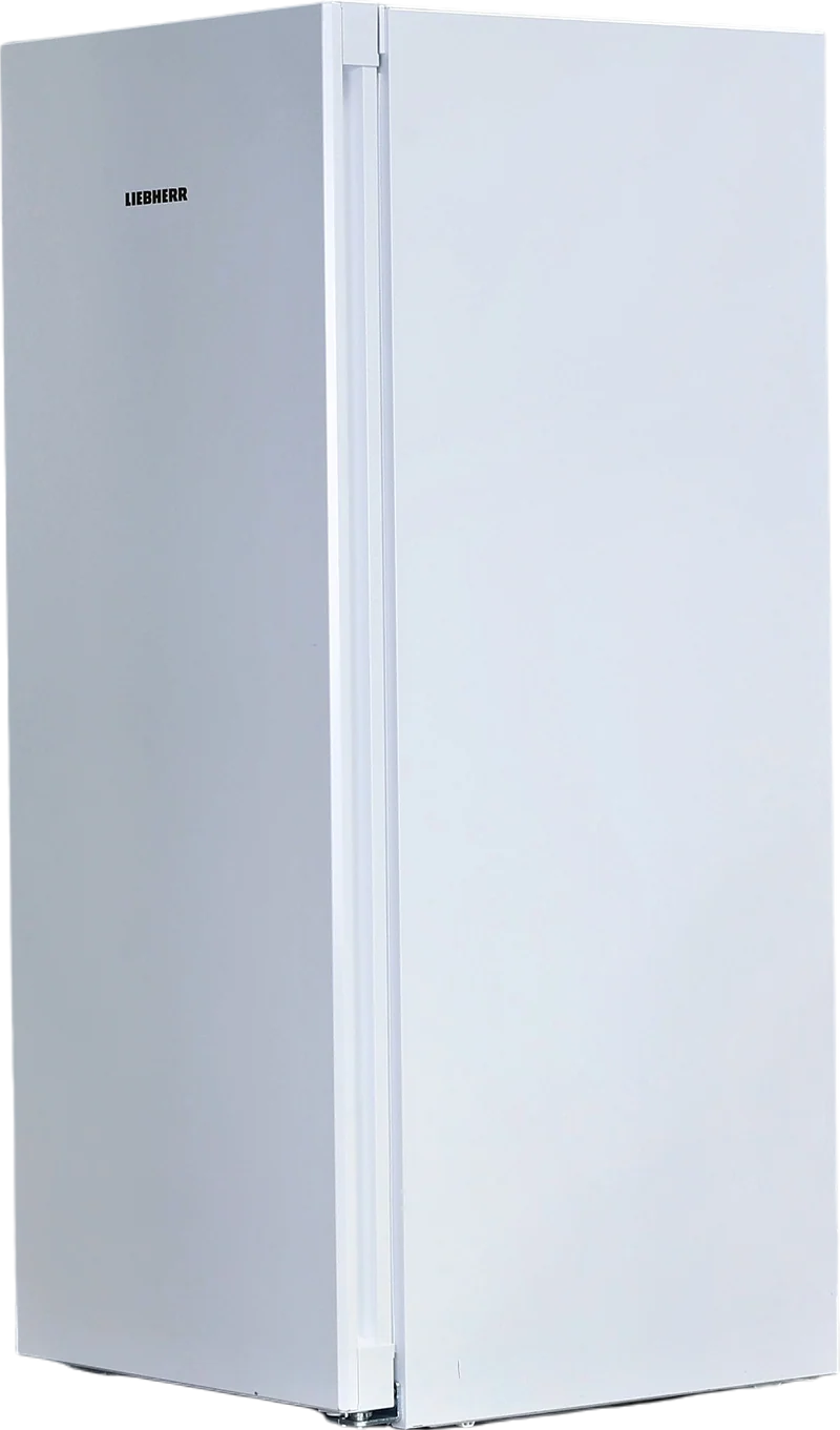 Réfrigérateur Une Porte 298 Litres Reconditionné LIEBHERR K1450