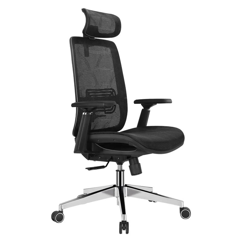 Ergonomics Premium Workstation Chair With Adjustable Lumbar Support And Rotatable