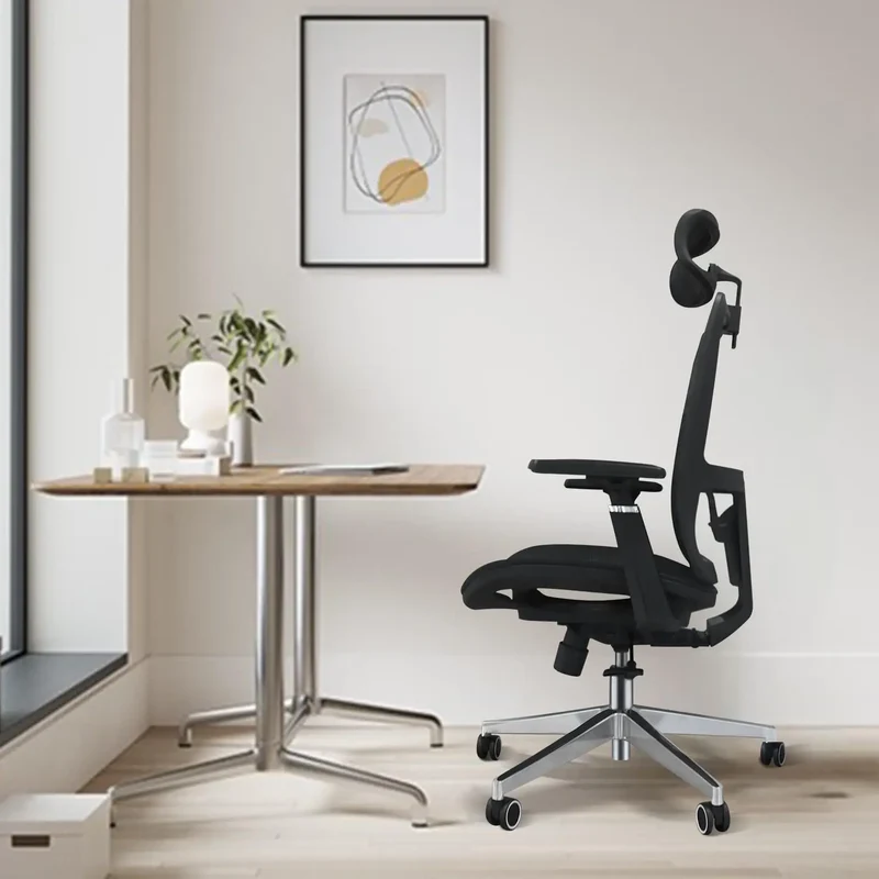 Ergonomics Premium Workstation Chair With Adjustable Lumbar Support And Rotatable