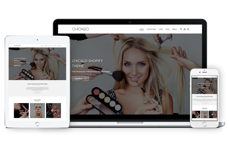 Health Store Chicago Shopify Theme