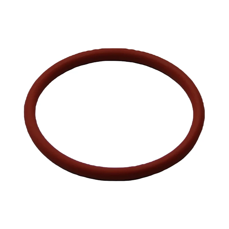 Didiesse guarnizione OR 147 43mm resistenza macchina caffè cialde Didì Baby Fro
